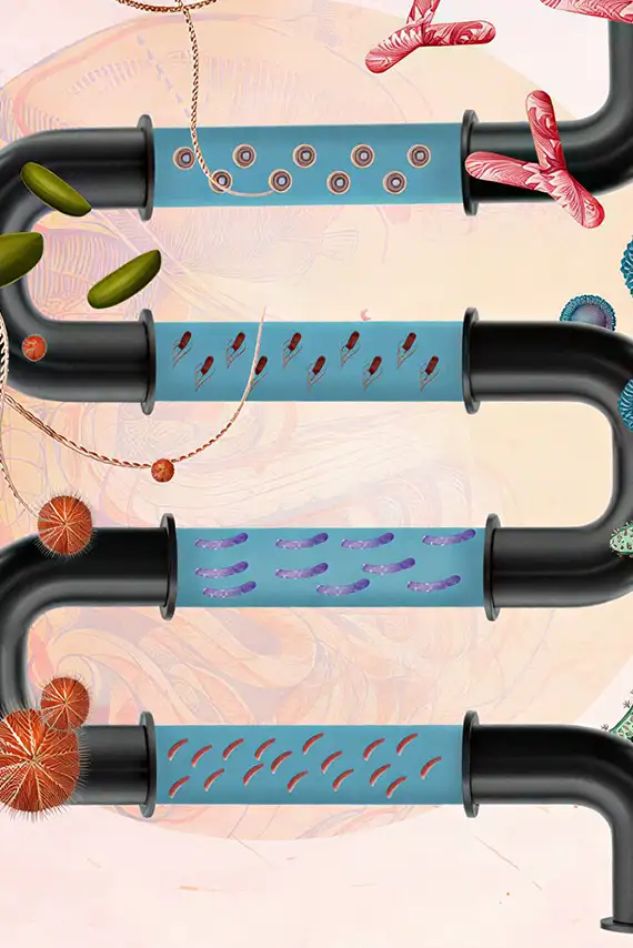 La salud intestinal empieza desde la infancia