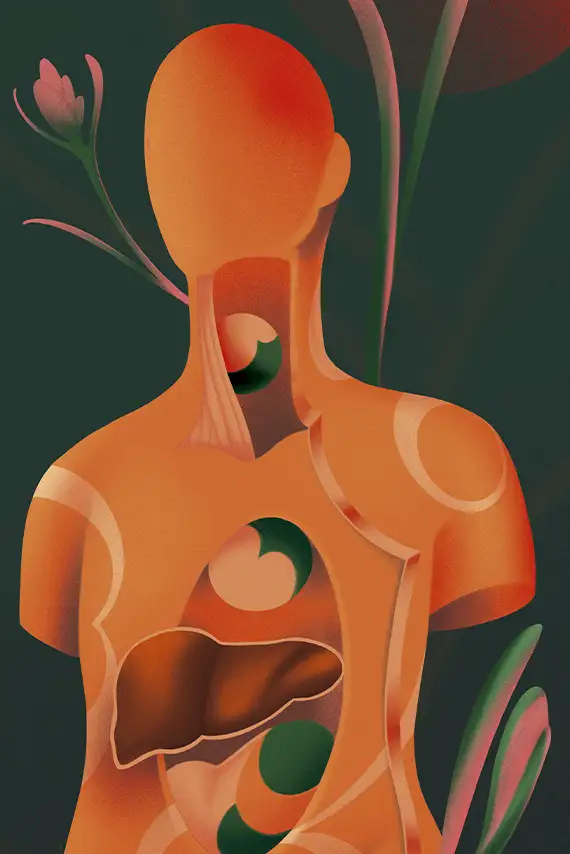 El hígado: un órgano que trabaja en silencio por tu salud
