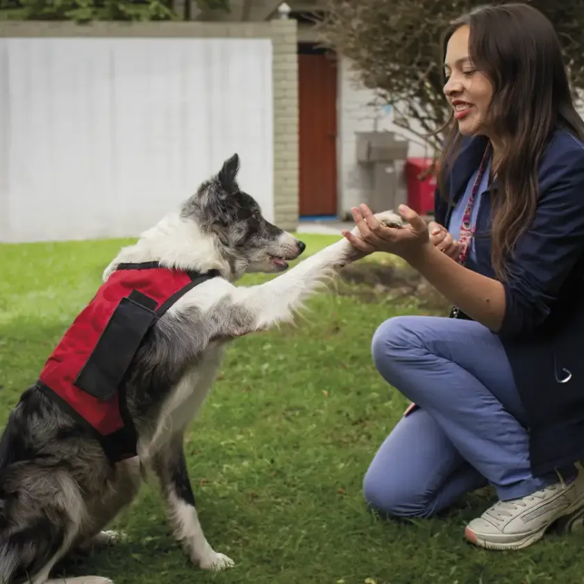 Terapia asistida con perros, ¿cómo funciona?