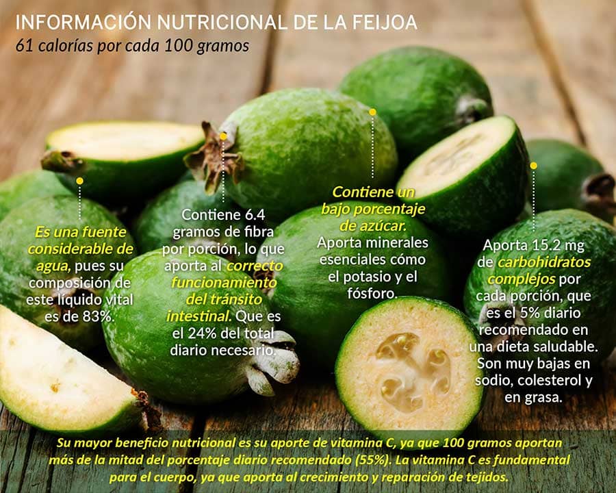 Feijoa CUERPOTEXTO