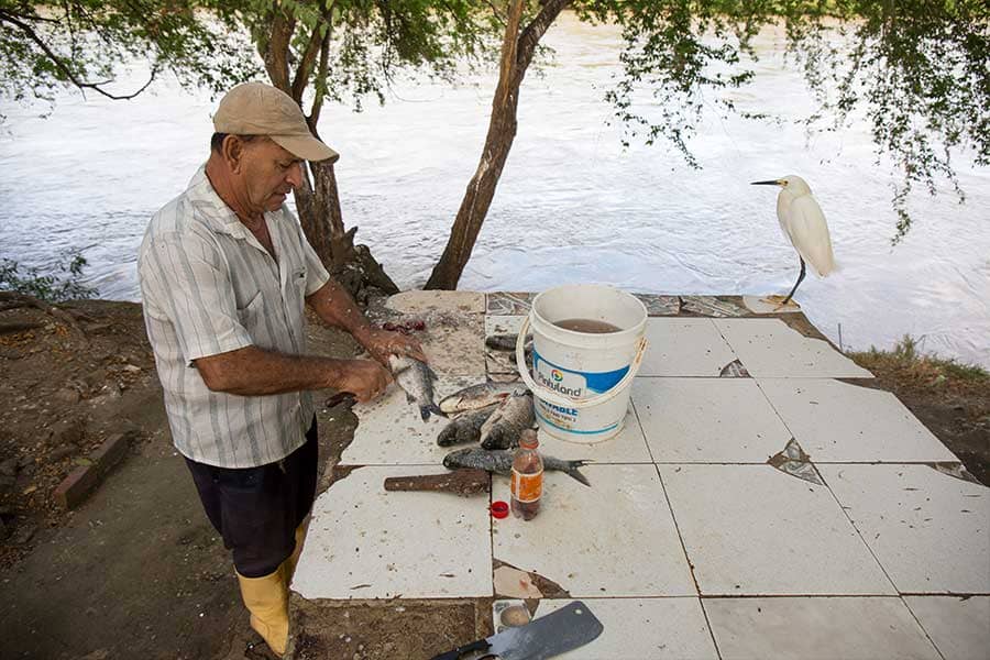 Gastronomía colombiana