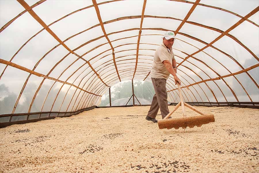 calidad de suelos del cultivo del café