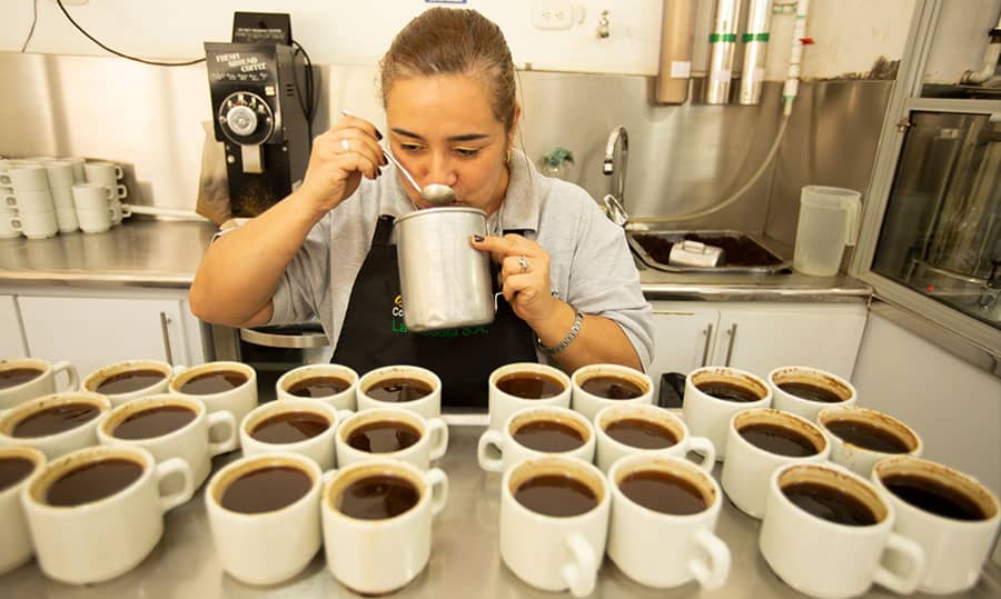 Experiencia del café colombiano