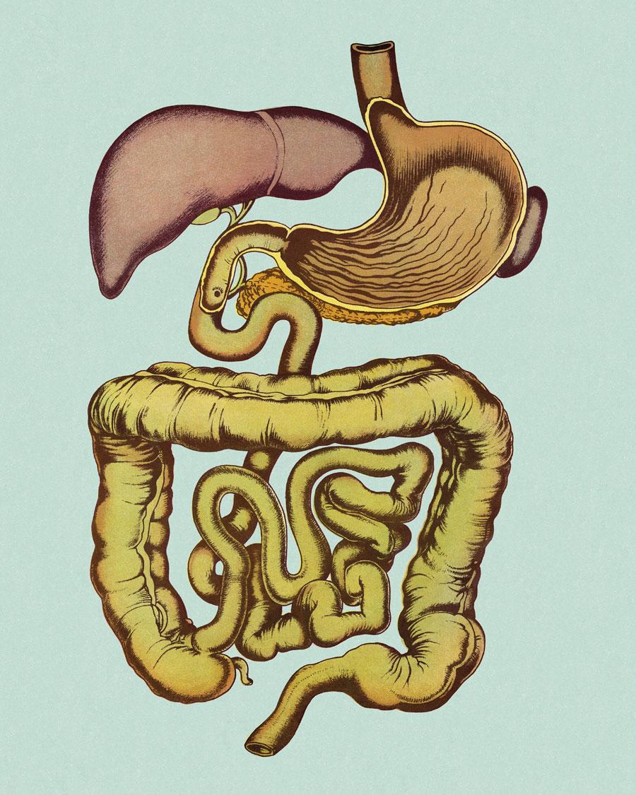 INTESTINAL