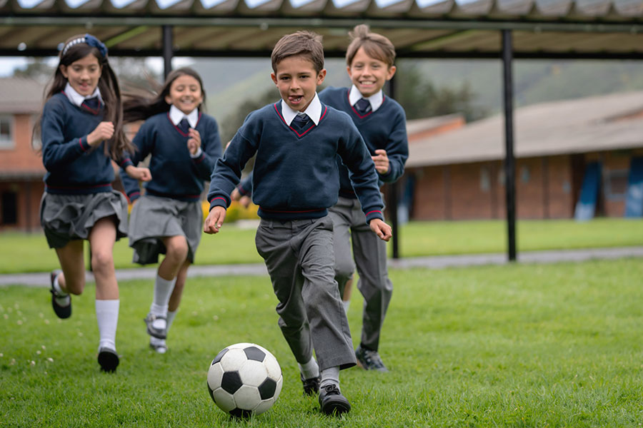 ColegiosSaludables3 CUERPOTEXTO