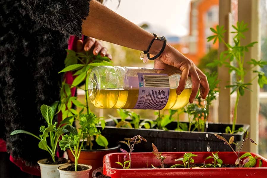 Cómo recolectar agua en casa