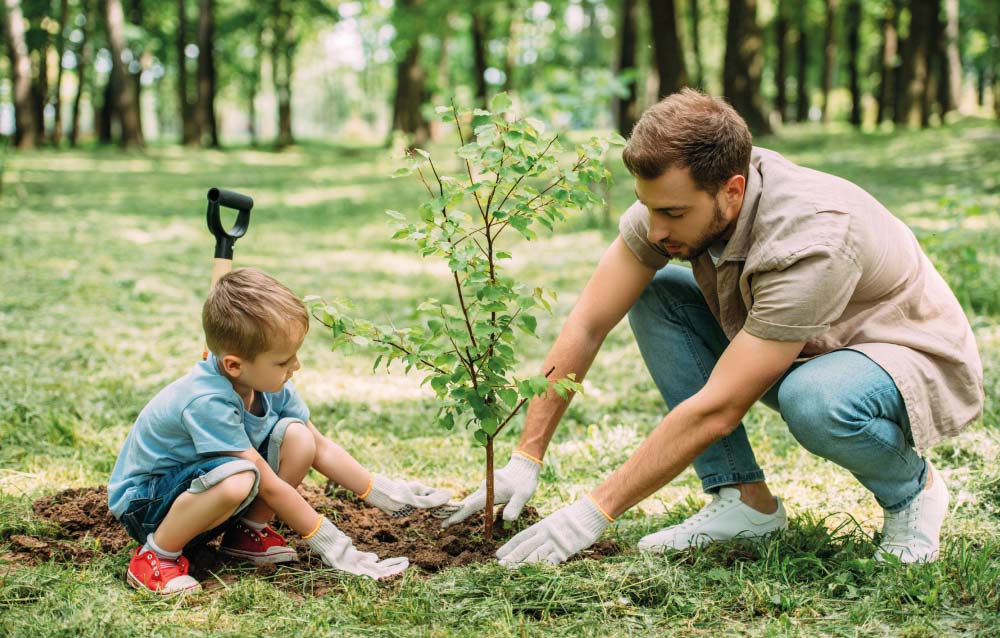 REFORESTACION 1