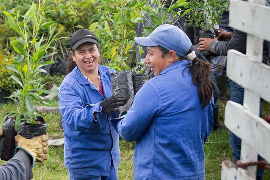 Emprendimiento femenino en el campo