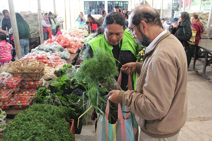 Mujeres trabajadoras en el campo