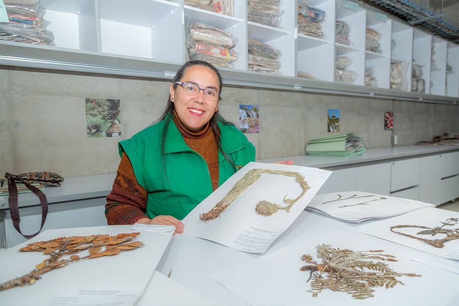 Botánica y Biodiversidad