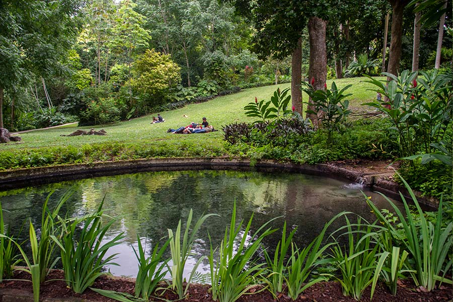 JardinBotanicoCgena CUERPOTEXTO