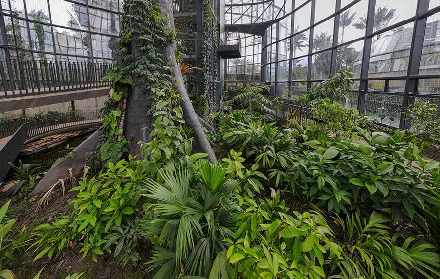 El Tropicario Un Encuentro Con La Biodiversidad El Tropicario Un Encuentro Con La Biodiversidad