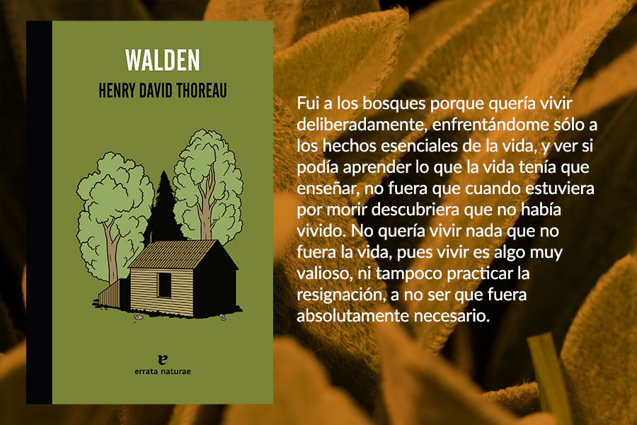 Editorial Planeta - «Mira de frente tus experiencias adversas, hará que  dejen de doler y de condicionar tu vida. Afronta tu historia, ¡merece la  pena!» «Lo bueno de tener un mal día»