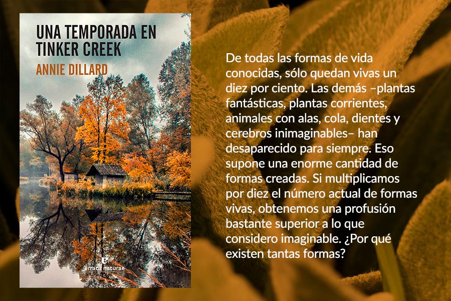 Libro3 CUERPOTEXTO