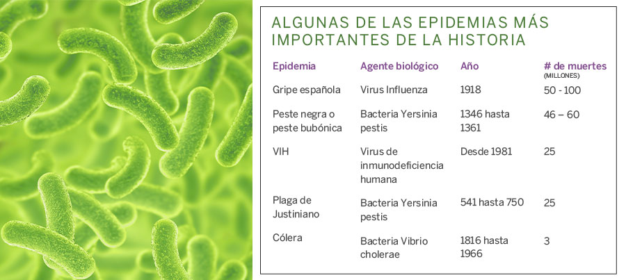 Epidemia2CUERPOTEXTO