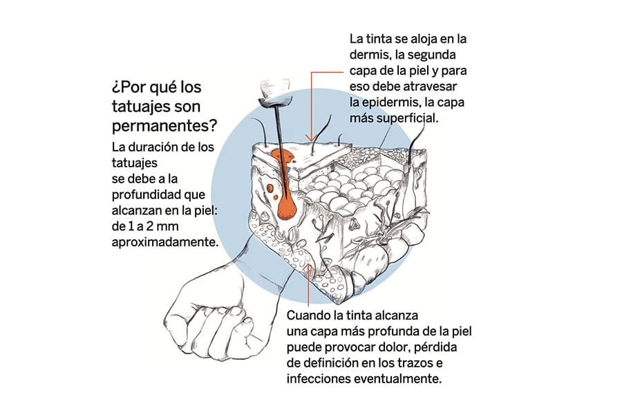 TatooInfo1 CUERPOTEXTO