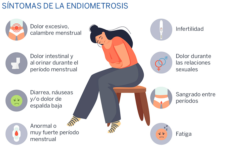 LEY ENDOMETRIOSIS CUERPOTEXTO