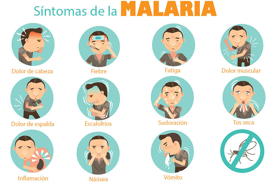 Malaria CUERPOTEXTO