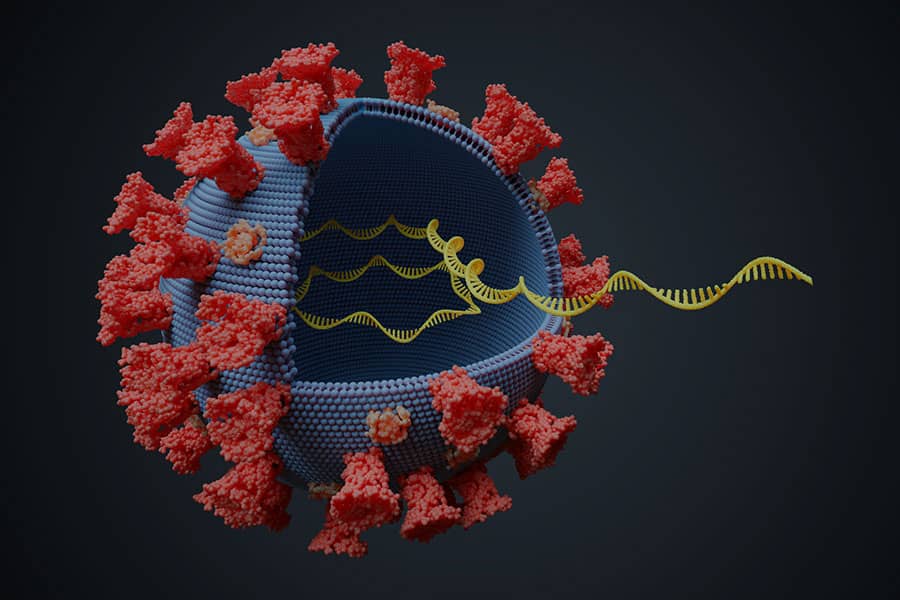 Nueva cepa de coronavirus