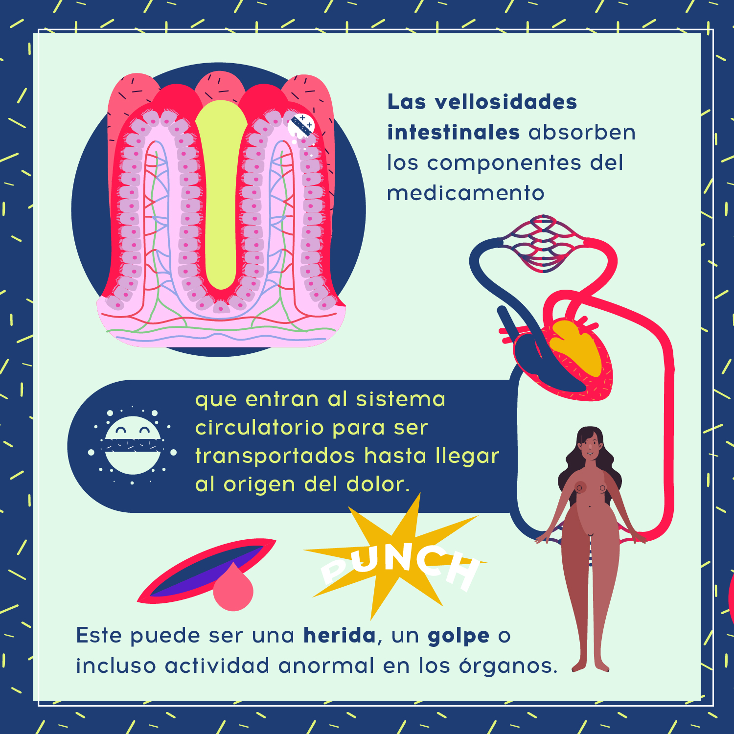 Que pasa en el cuerpo Aspirina 02 1