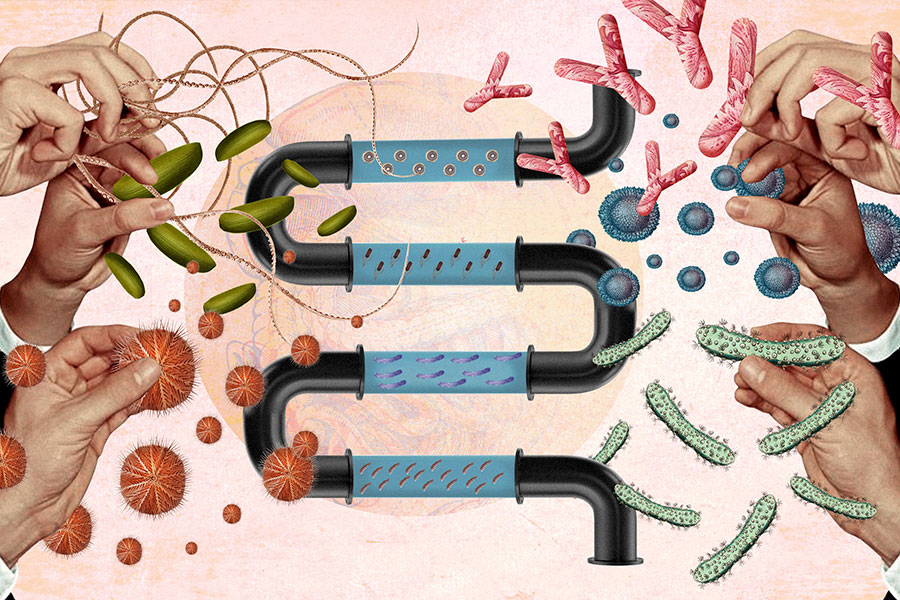 FloraIntestinal CUERPOTEXTO