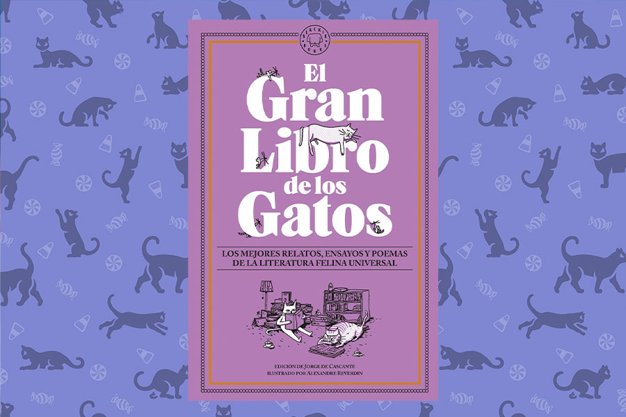 LITERATURA GATOS2 CUERPOTEXTO