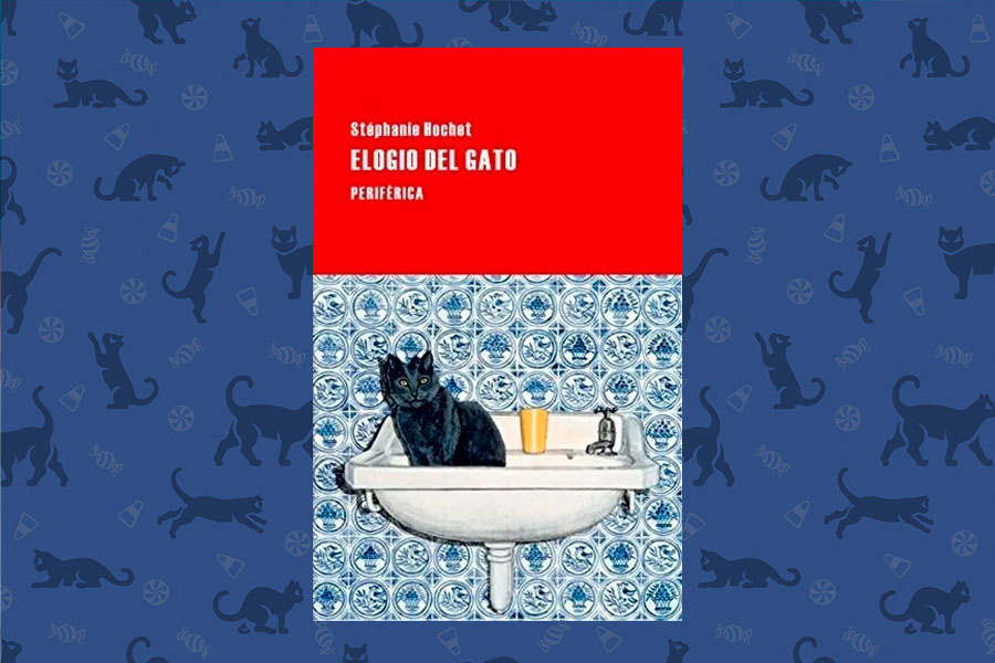 LITERATURA GATOS4 CUERPOTEXTO