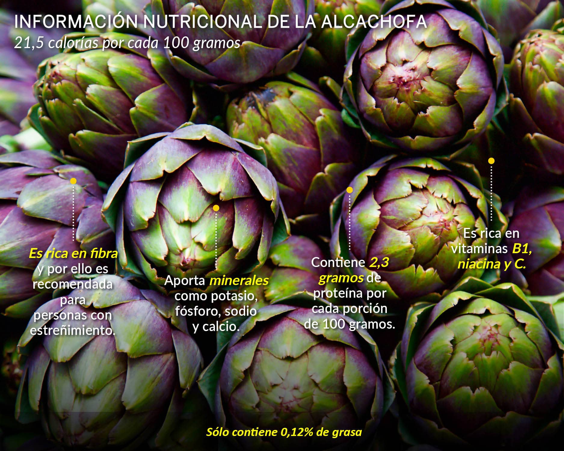 Perfil nutricional de la alcachofa