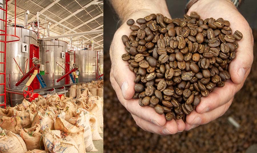 calidad del grano de café colombiano