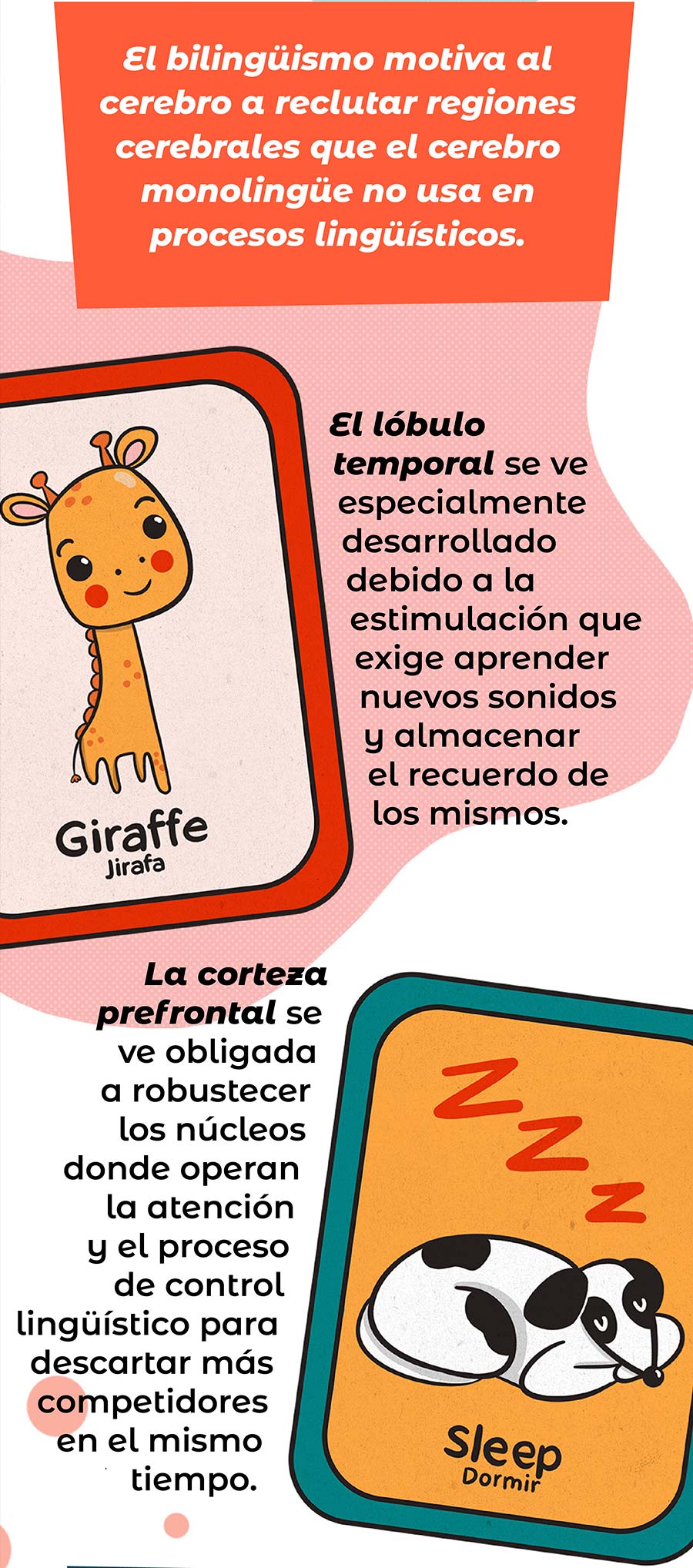 BILINGUISMO3 CUERPOTEXTO