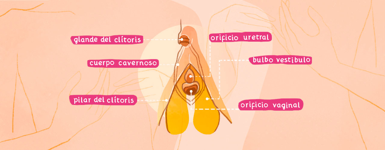 Bienestar Colsanitas