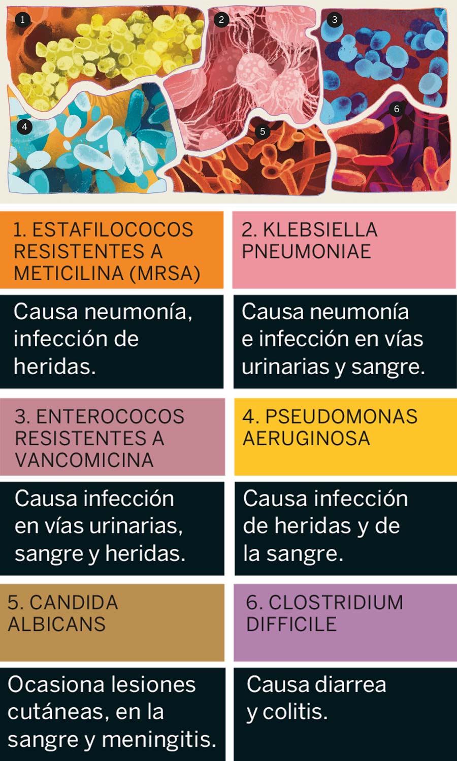 Secretario reflujo caliente Claves para entender las infecciones intrahospitalarias - Bienestar Colsanitas Secretario reflujo caliente Claves para entender las infecciones intrahospitalarias - Bienestar Colsanitas