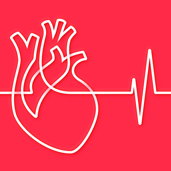¿Qué le sucede a un corazón con falla cardiaca?