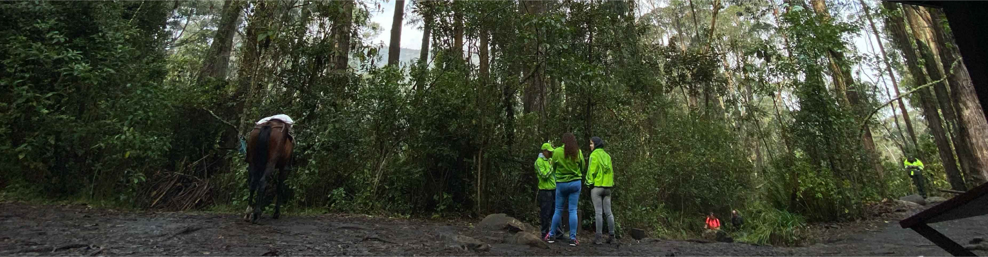 Quebrada la vieja