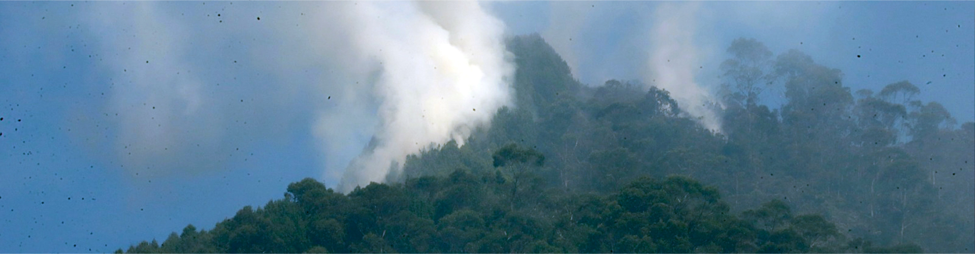 Medidas de protección ante el aumento de incendios forestales