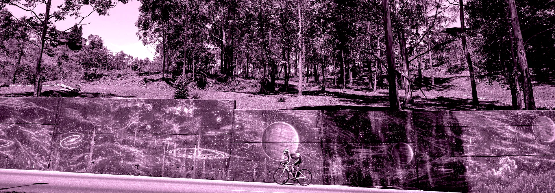 nutrición e hidratación para ciclistas
