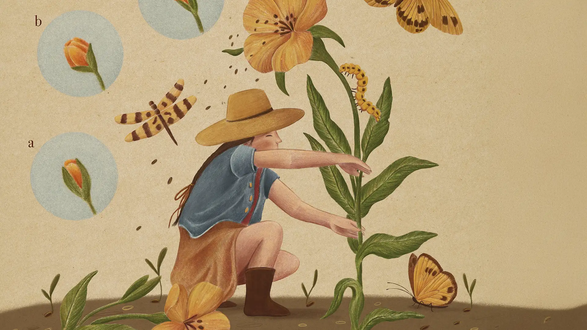 plantas y bienestar emocional