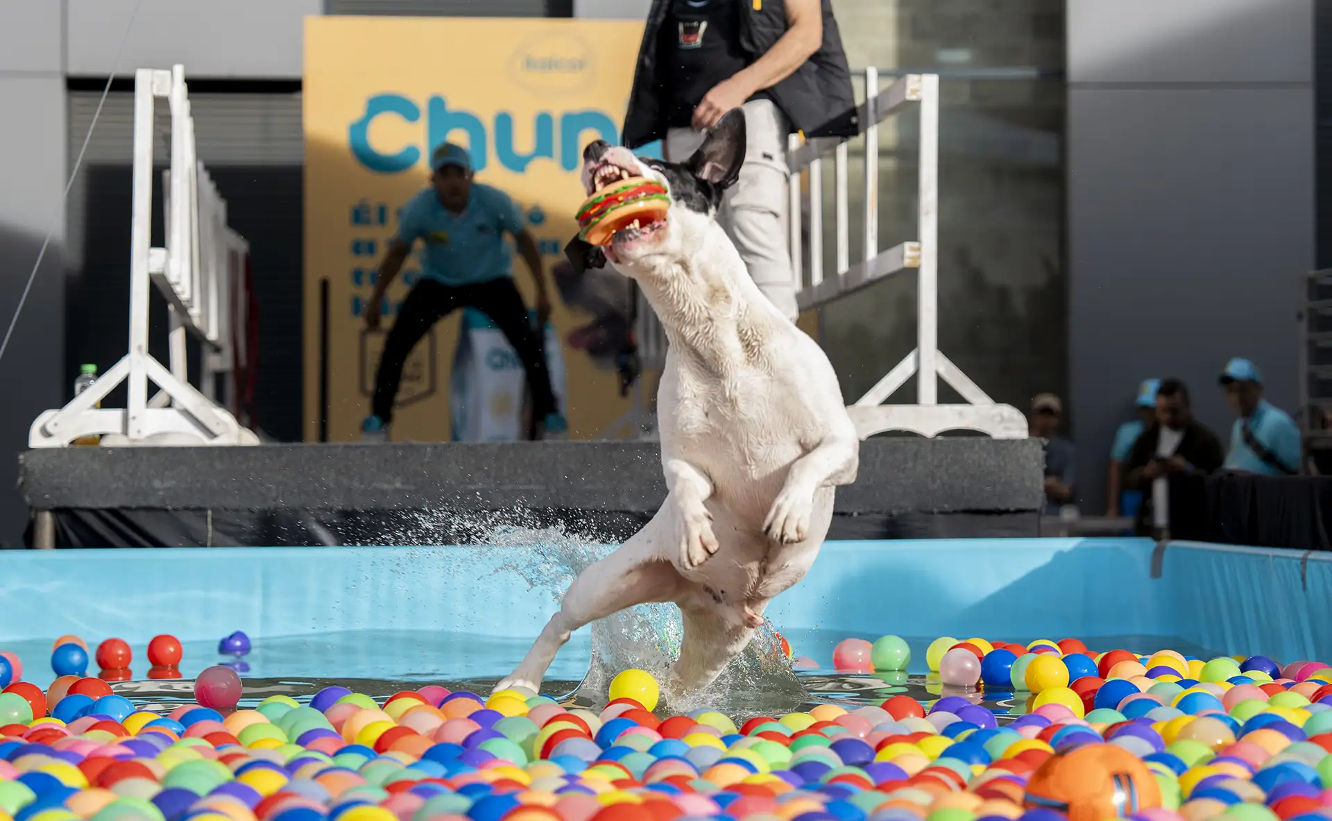 Expopet