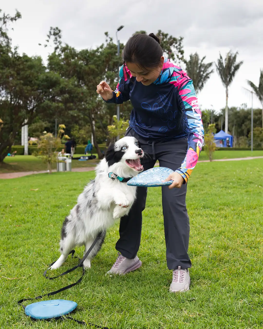 deporte canino