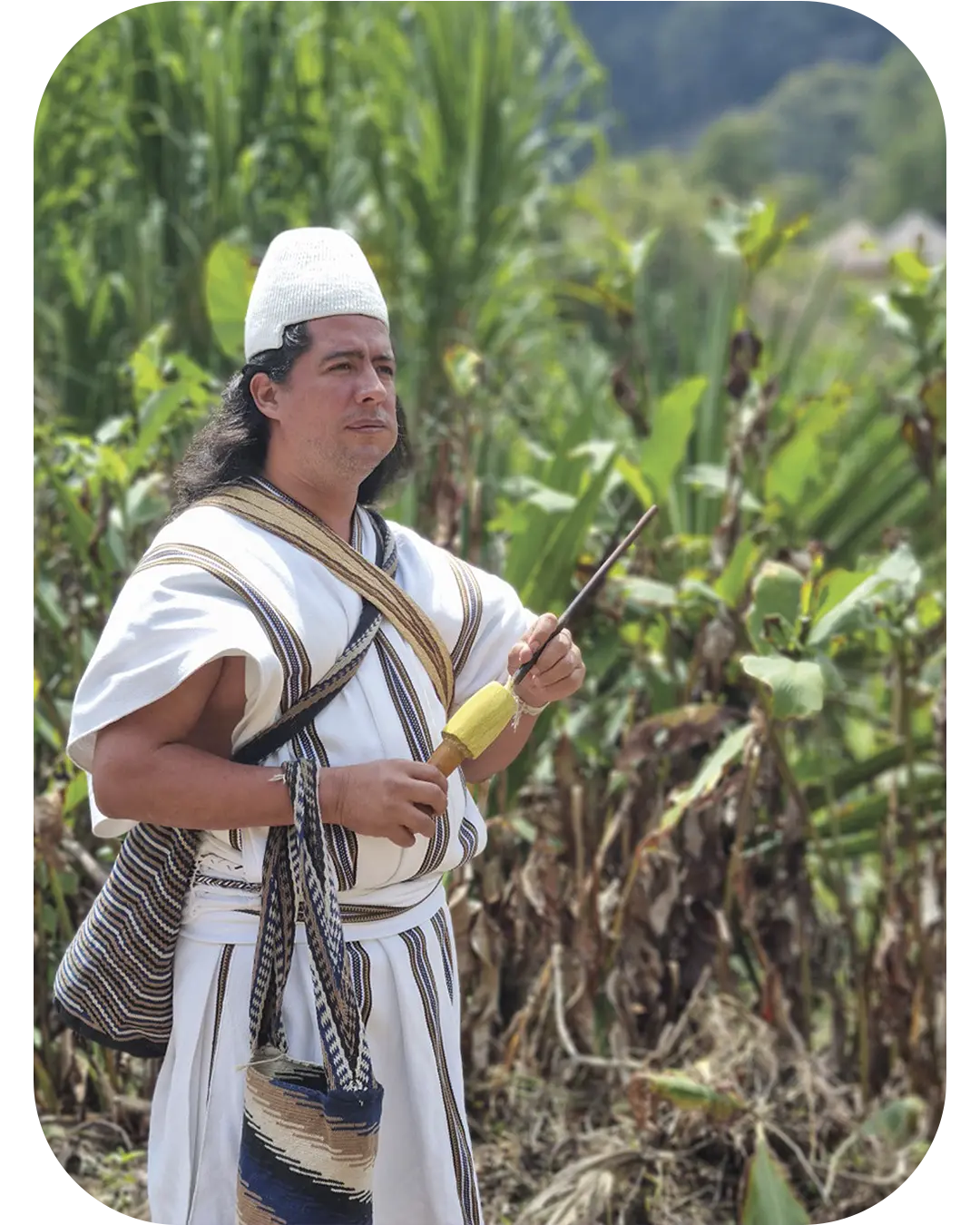 cuidar la Tierra