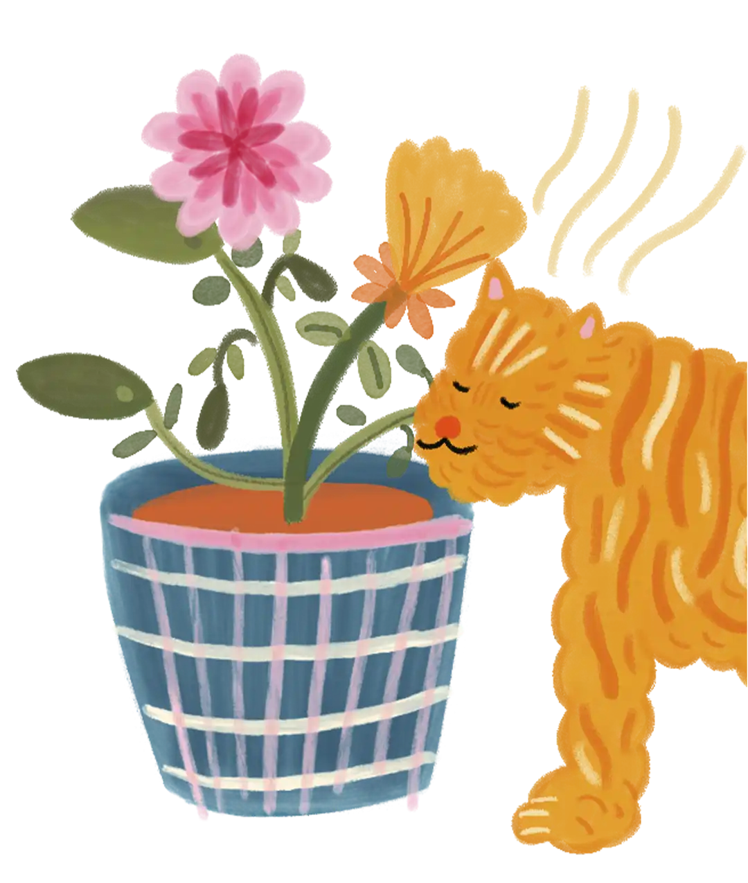 alergia a las mascotas
