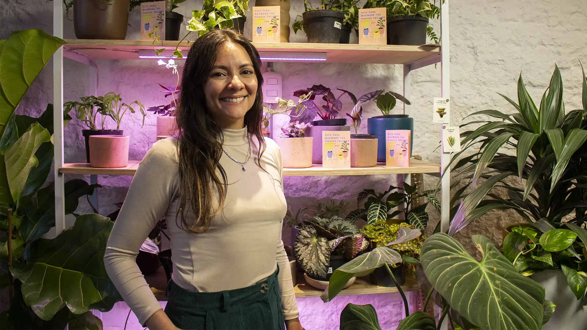cuidar plantas de apartamento
