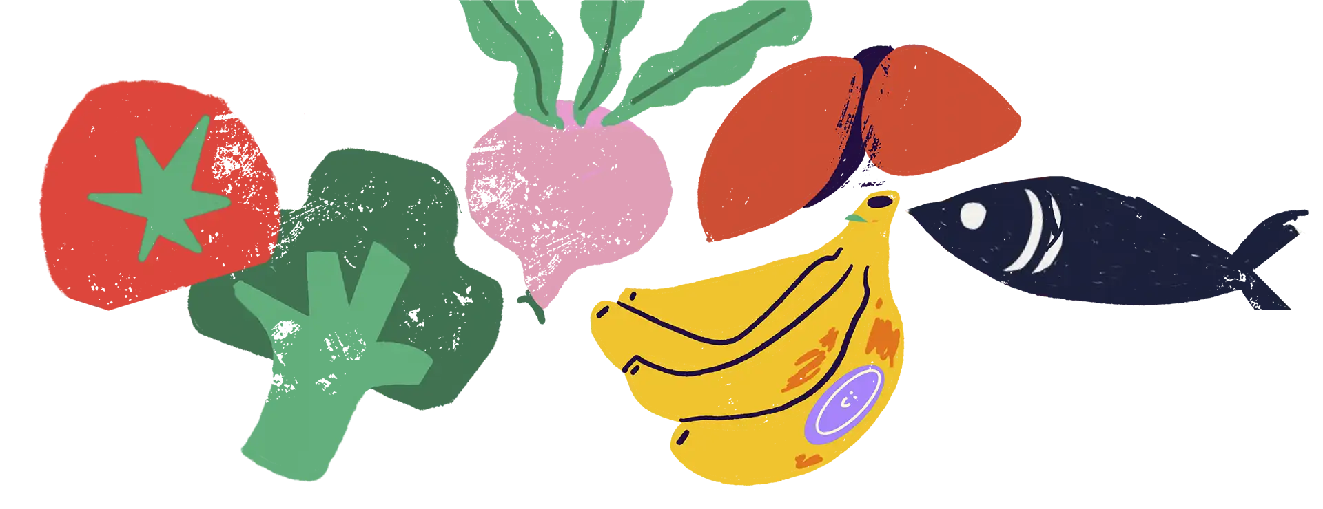 entender la obesidad