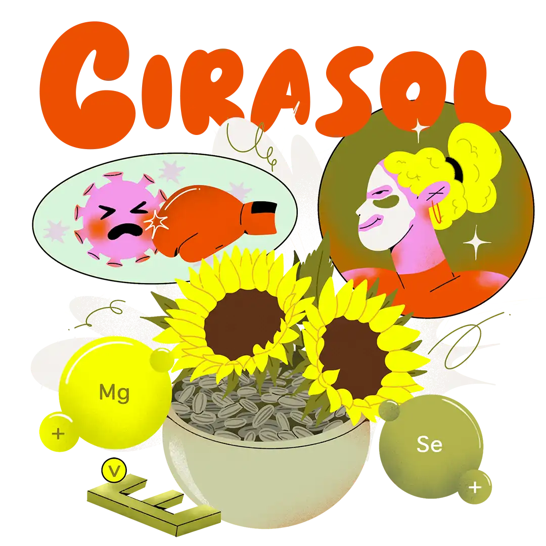 Semilla de girasol