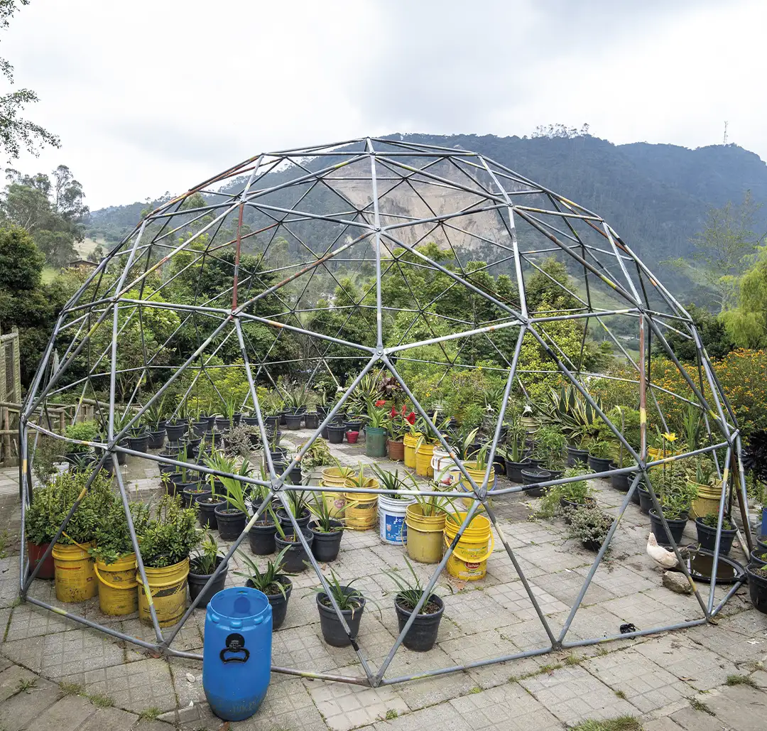 educación ambiental Colombia