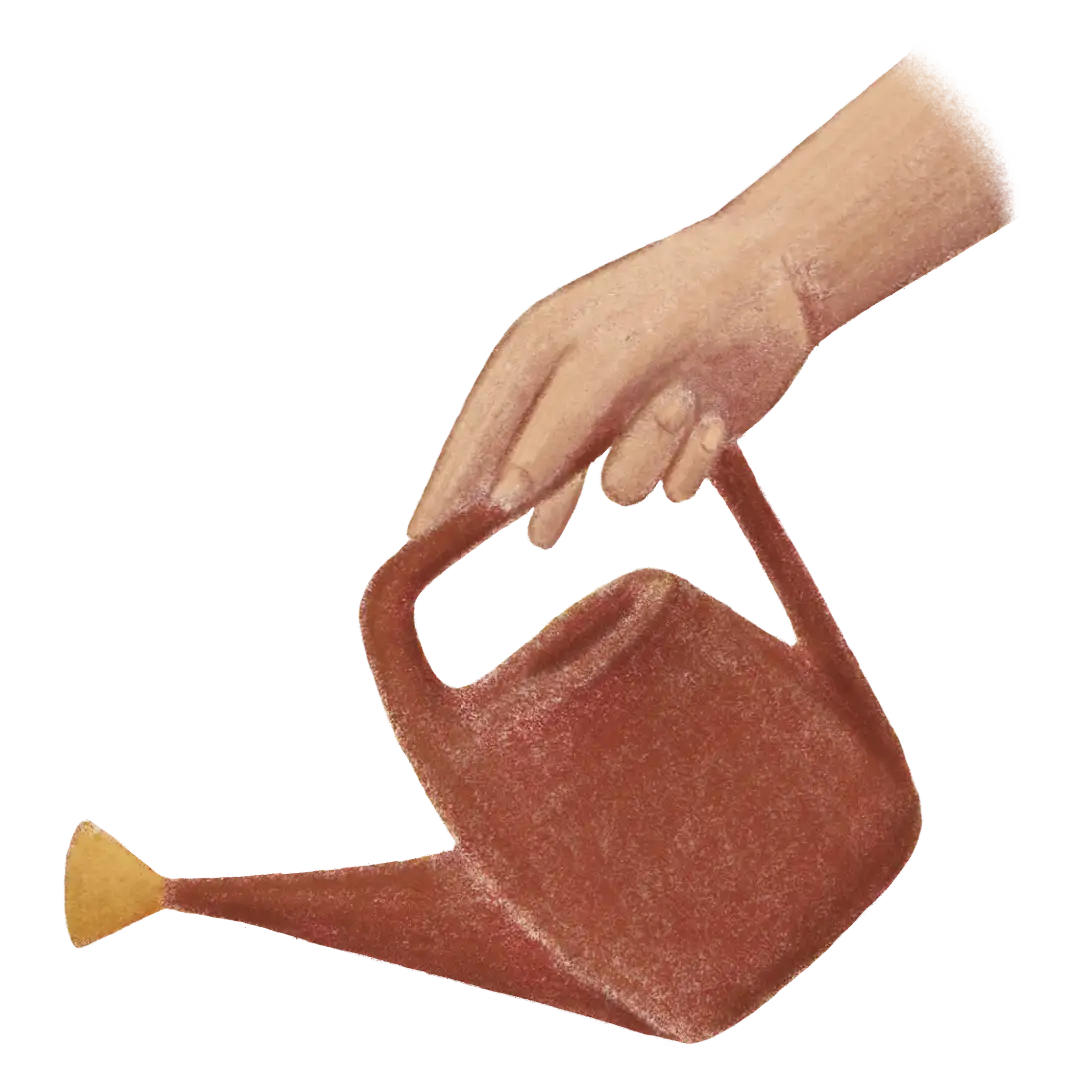 plantas y bienestar emocional