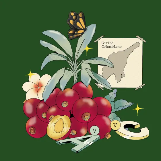 frutas colombiana