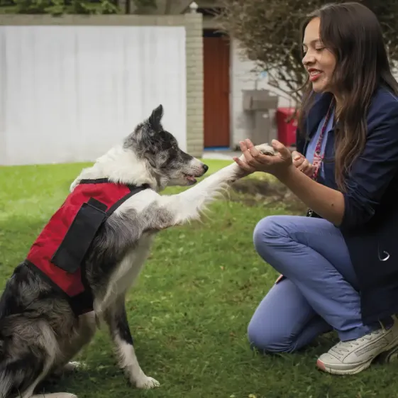 terapia con animales beneficios