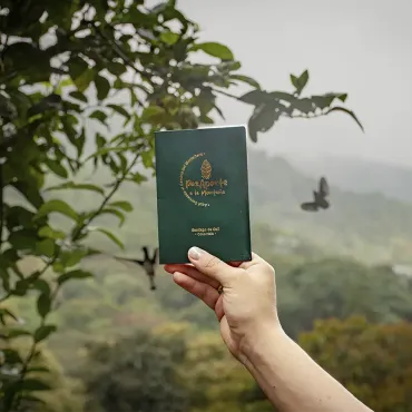 las montañas de Cali