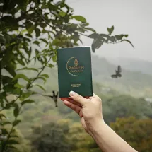 las montañas de Cali